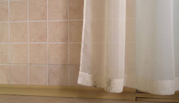 Best Mold Remediation for Healthcare Facilities  in Inverness, CO